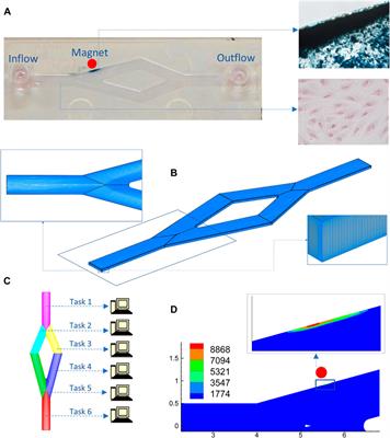 Multiscale physics-based in silico modelling of nanocarrier-assisted intravascular drug delivery